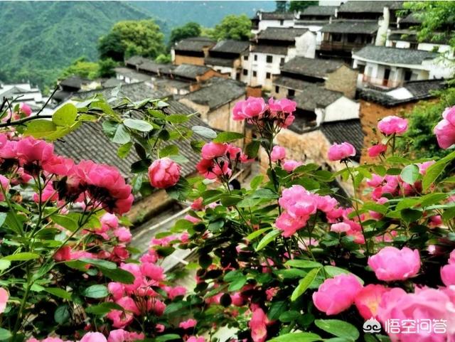 夏天國內(nèi)有沒有既可以避暑，風(fēng)景又好的旅游拍攝地推薦？